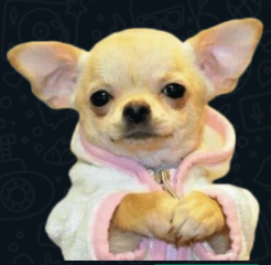 <br />
<b>Warning</b>:  Undefined variable $robot in <b>/var/www/html/roboticaperu/index.php</b> on line <b>893</b><br />
<br />
<b>Warning</b>:  Trying to access array offset on null in <b>/var/www/html/roboticaperu/index.php</b> on line <b>893</b><br />
<br />
<b>Deprecated</b>:  htmlspecialchars(): Passing null to parameter #1 ($string) of type string is deprecated in <b>/var/www/html/roboticaperu/index.php</b> on line <b>893</b><br />